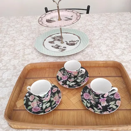 Elena 's * كونفيرسانو