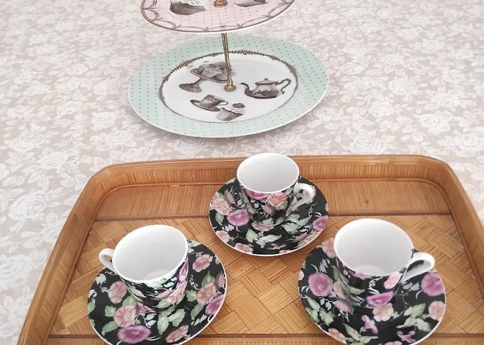 Elena 's * 孔韦尔萨诺